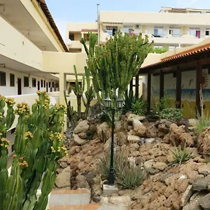 https://holiday-apartment-paraiso.in-canary-islands.com